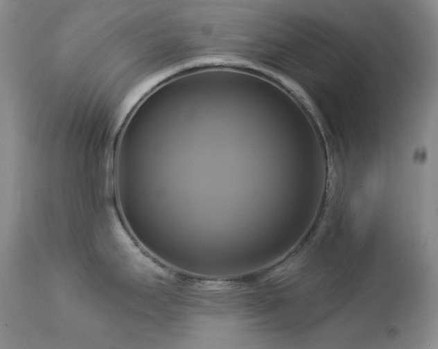 X0000113051295200908271521
