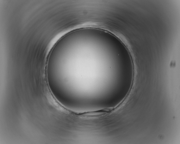 X0000113051296200908271521