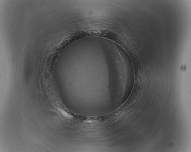 X0000113051297200908271520