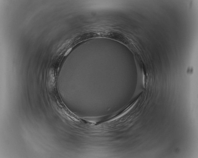 X0000113051298200908271520