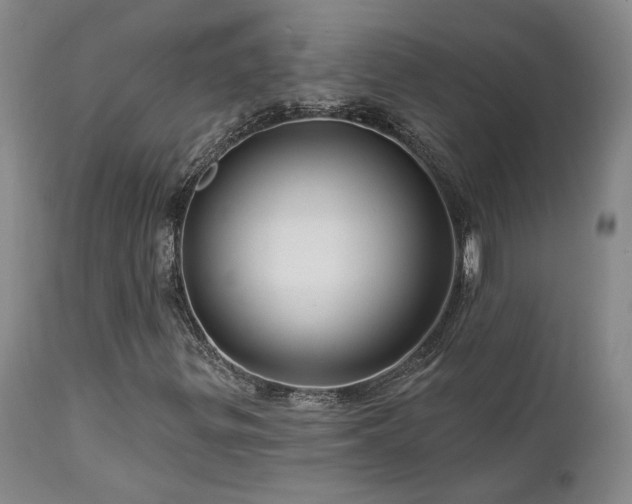 X0000113051299200908271520