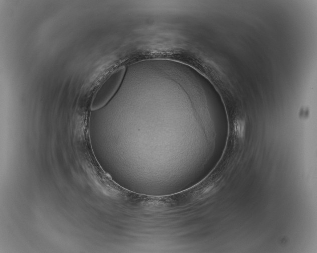 X0000113051300200908271520