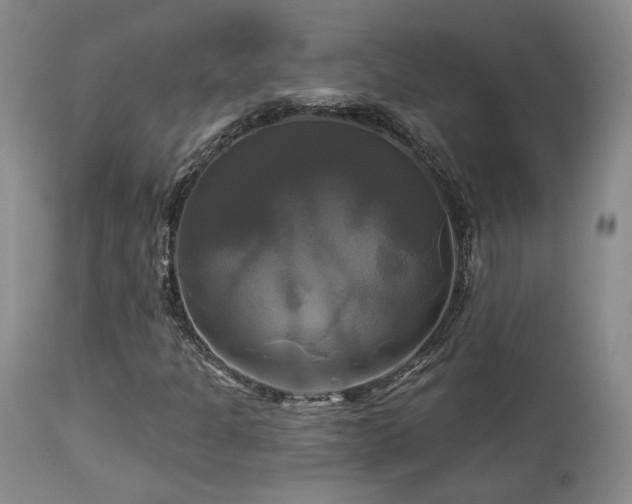 X0000113051301200908271520
