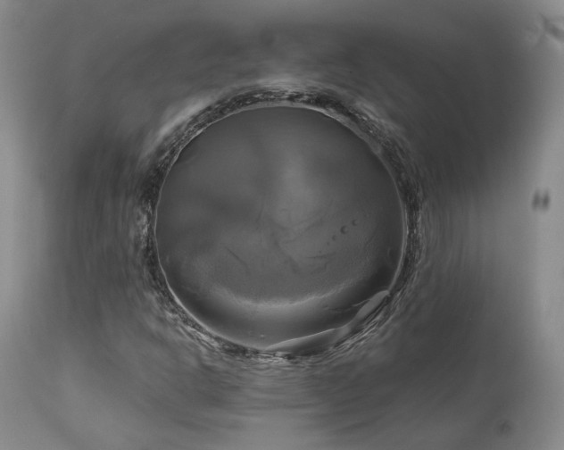 X0000113051302200908271520