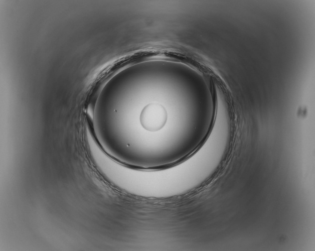 X0000113051304200908271520
