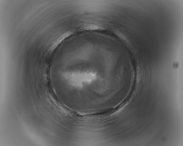 X0000113051305200908271520