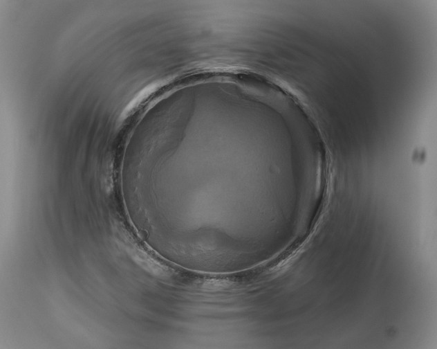 X0000113051306200908271520