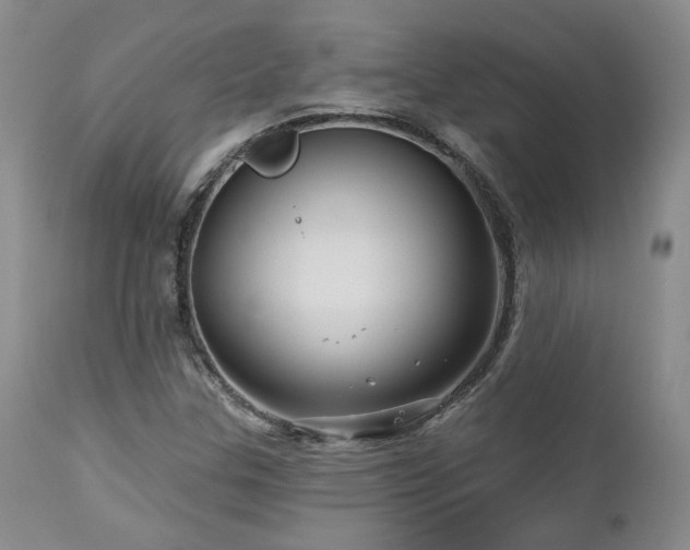 X0000113051307200908271520