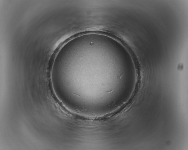 X0000113051308200908271520
