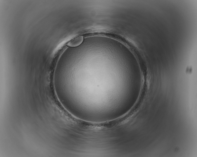 X0000113051309200908271520