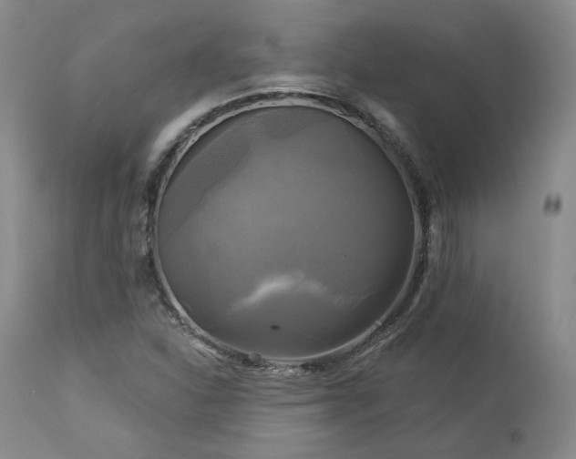 X0000113051310200908271520