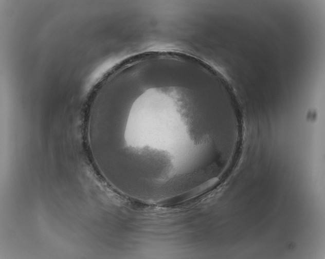 X0000113051311200908271520