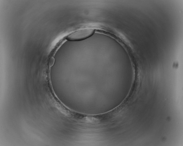 X0000113051312200908271520