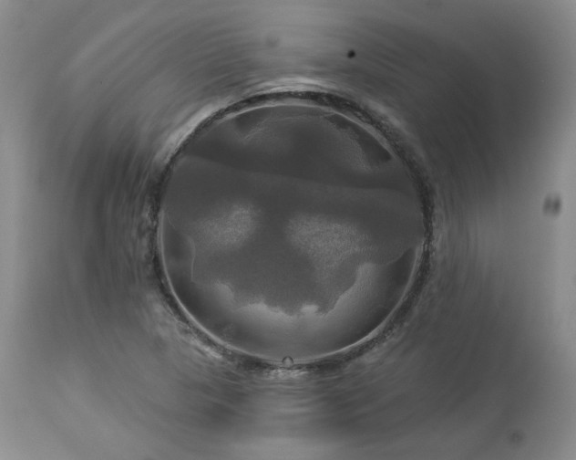 X0000113051313200908271520