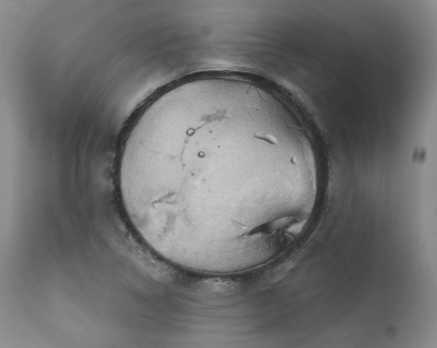 X0000113051314200908271520