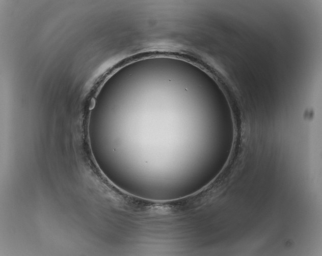 X0000113051315200908271520