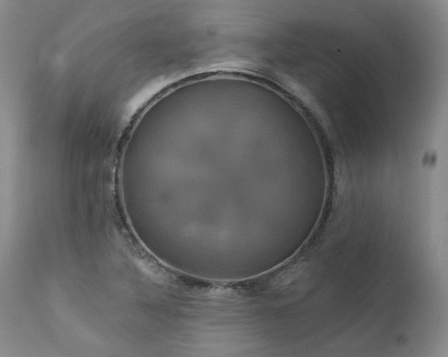 X0000113051316200908271520