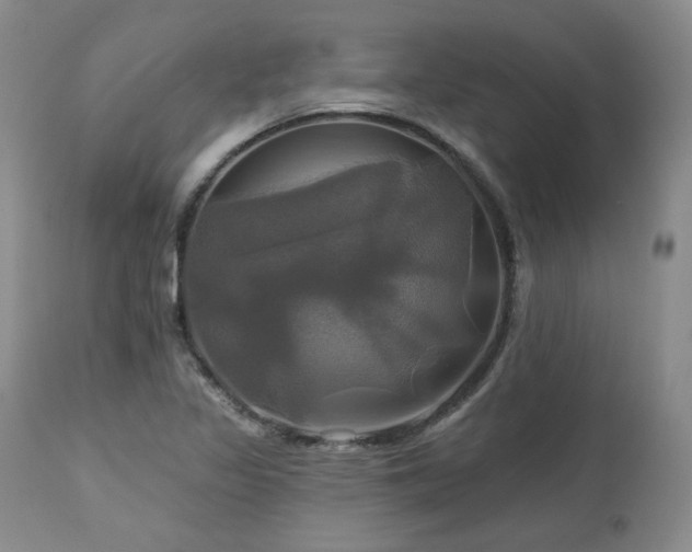 X0000113051317200908271520
