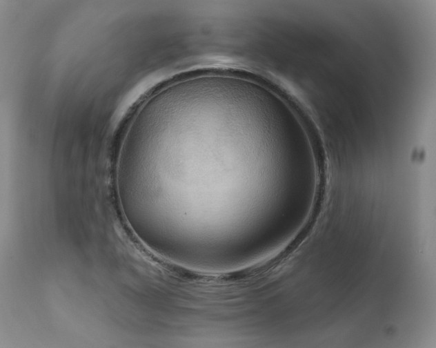 X0000113051318200908271520