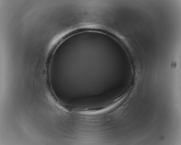 X0000113051319200908271520