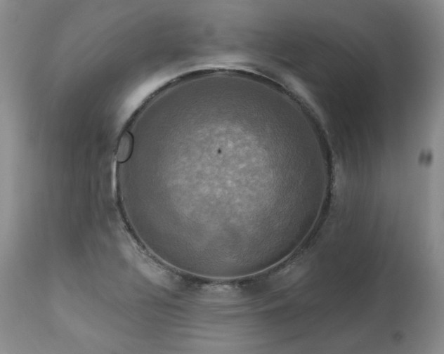 X0000113051320200908271520