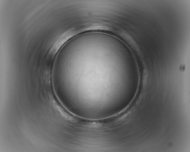 X0000113051321200908271520