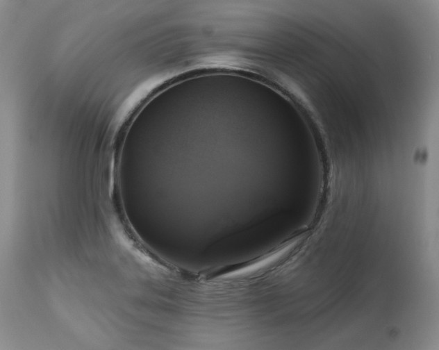 X0000113051323200908271521