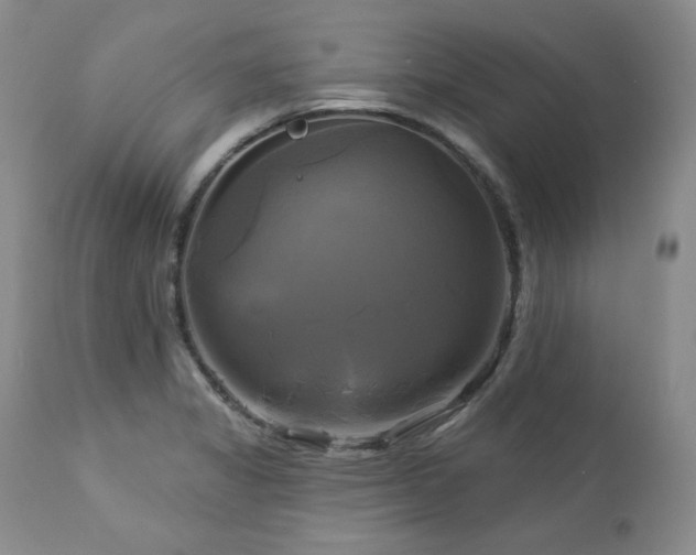 X0000113051325200908271521