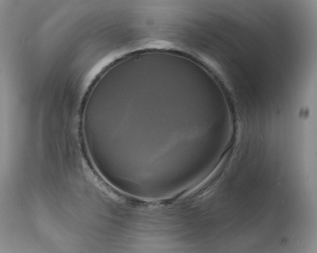X0000113051326200908271521