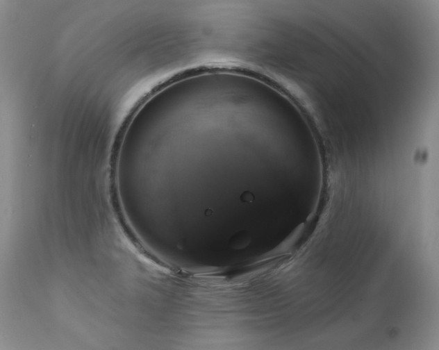 X0000113051327200908271521