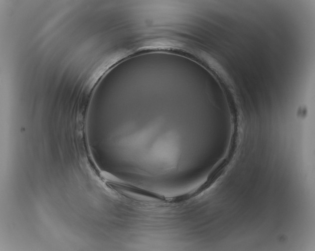 X0000113051329200908271521