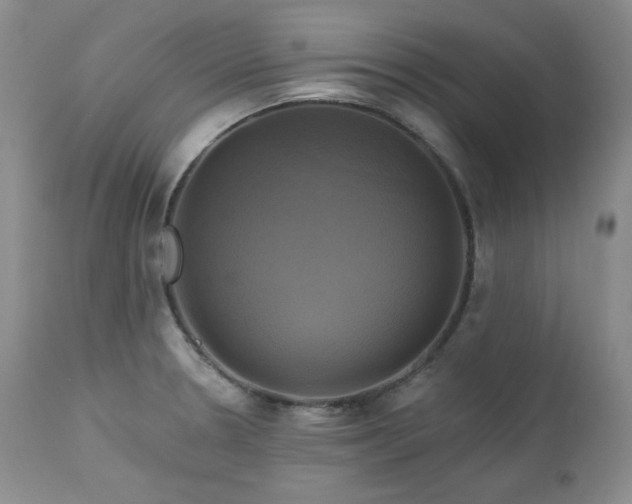 X0000113051330200908271521