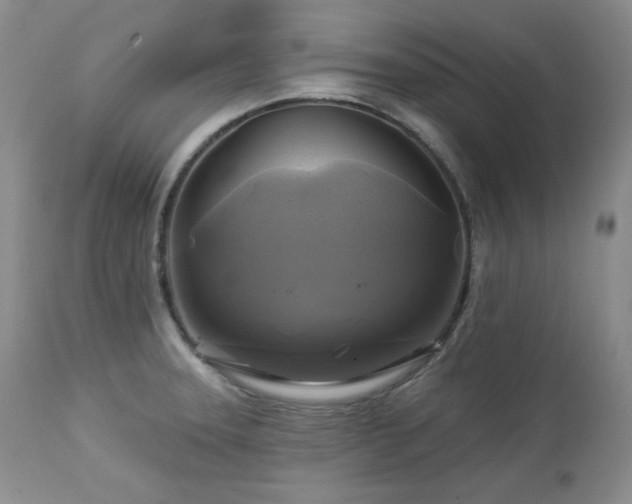 X0000113051331200908271521