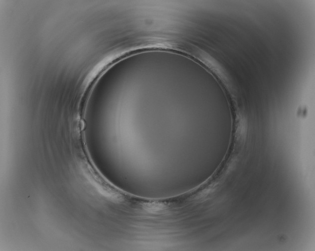 X0000113051332200908271521