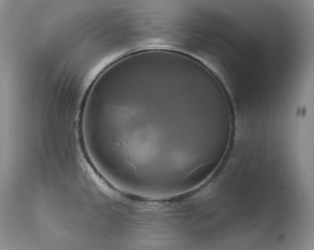X0000113051333200908271521