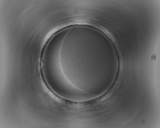 X0000113051334200908271521