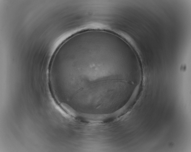 X0000113051335200908271521