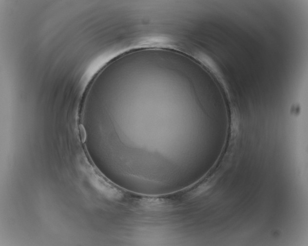 X0000113051336200908271521