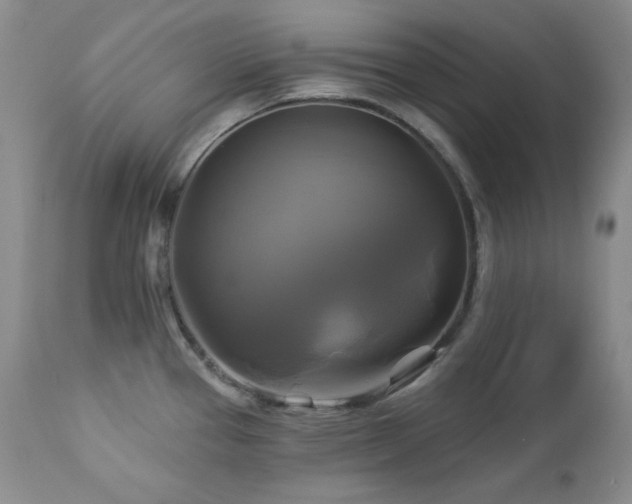 X0000113051337200908271521