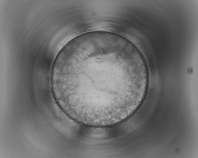 X0000113051338200908271521