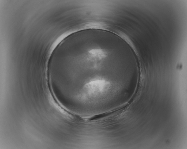 X0000113051339200908271521