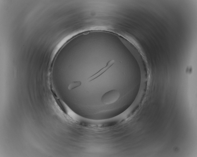 X0000113051340200908271521