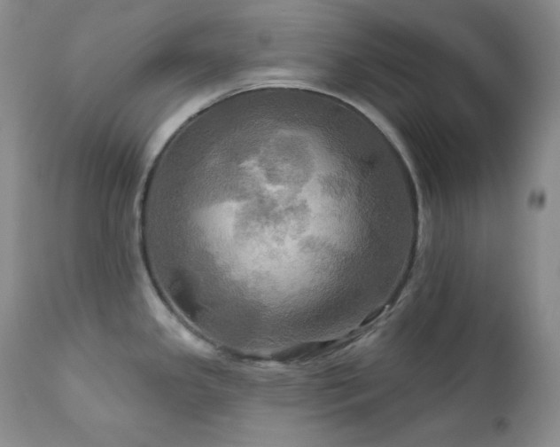 X0000113051341200908271521