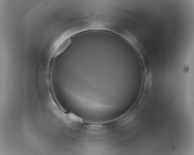 X0000113051342200908271521