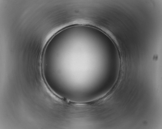 X0000113051343200908271521