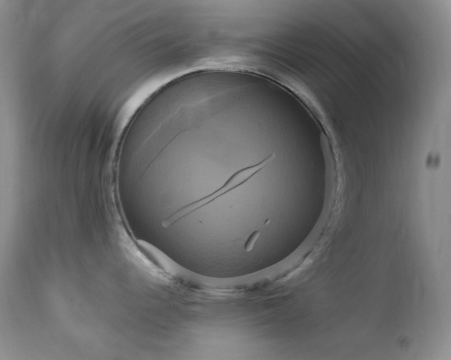 X0000113051344200908271521