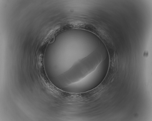 X0000113051346200908271520