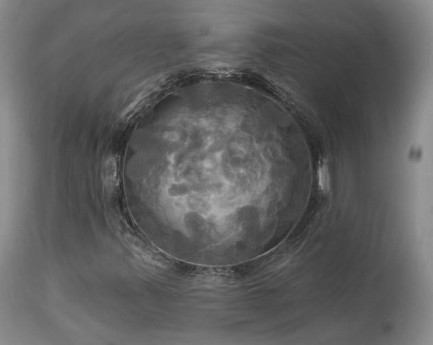 X0000113051347200908271520