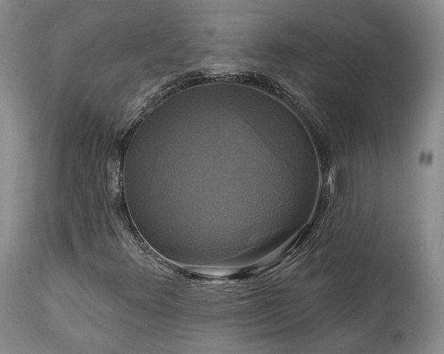 X0000113051348200908271520