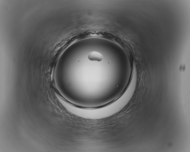 X0000113051349200908271520